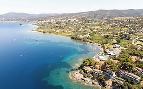 Venus Beach Hotel